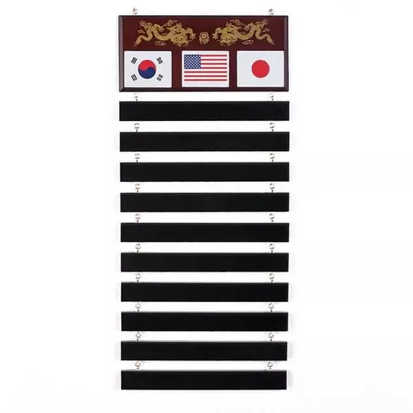 10 Level Belt Display