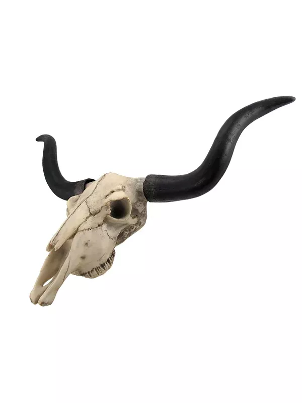 27.5