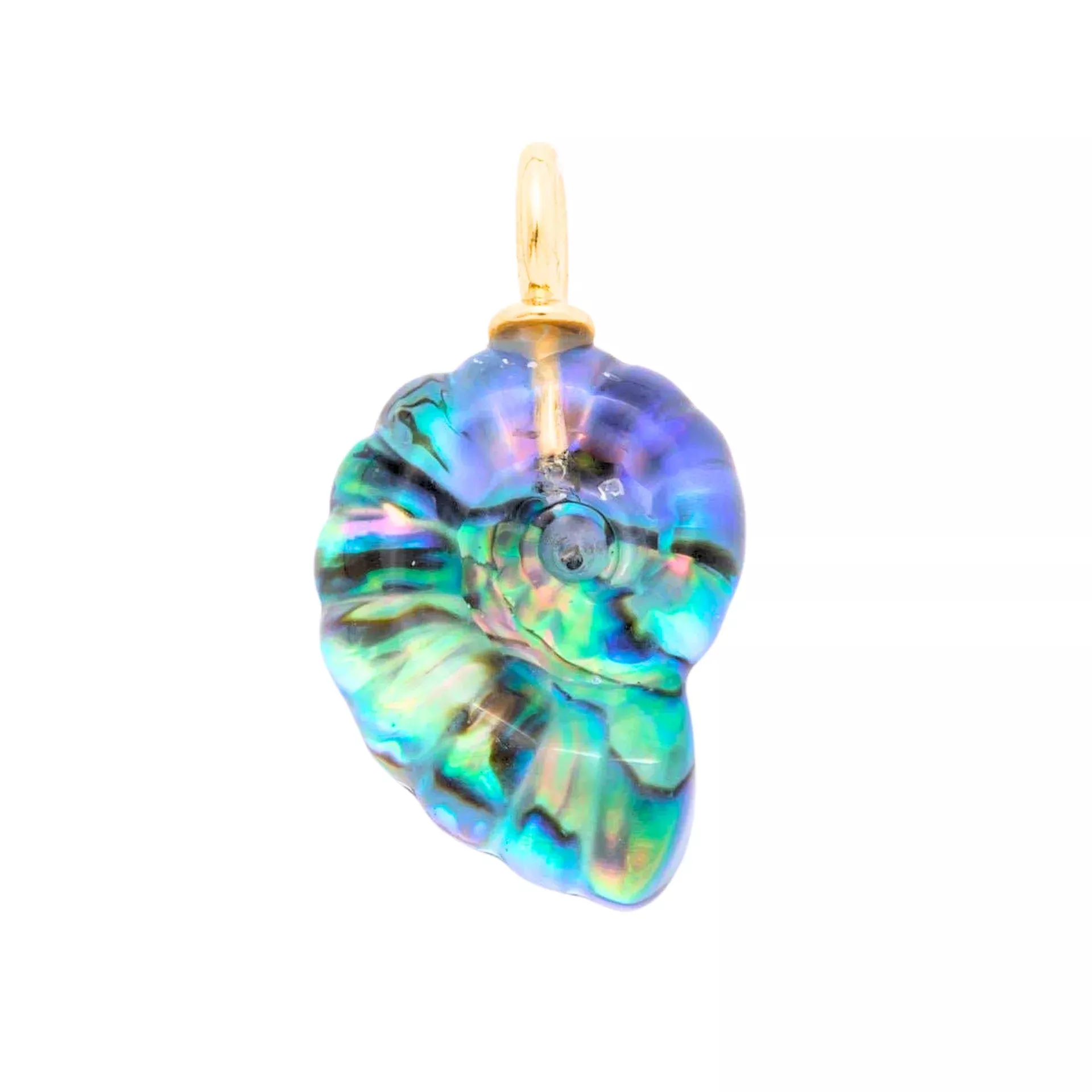 Ammonite Abalone Pendant