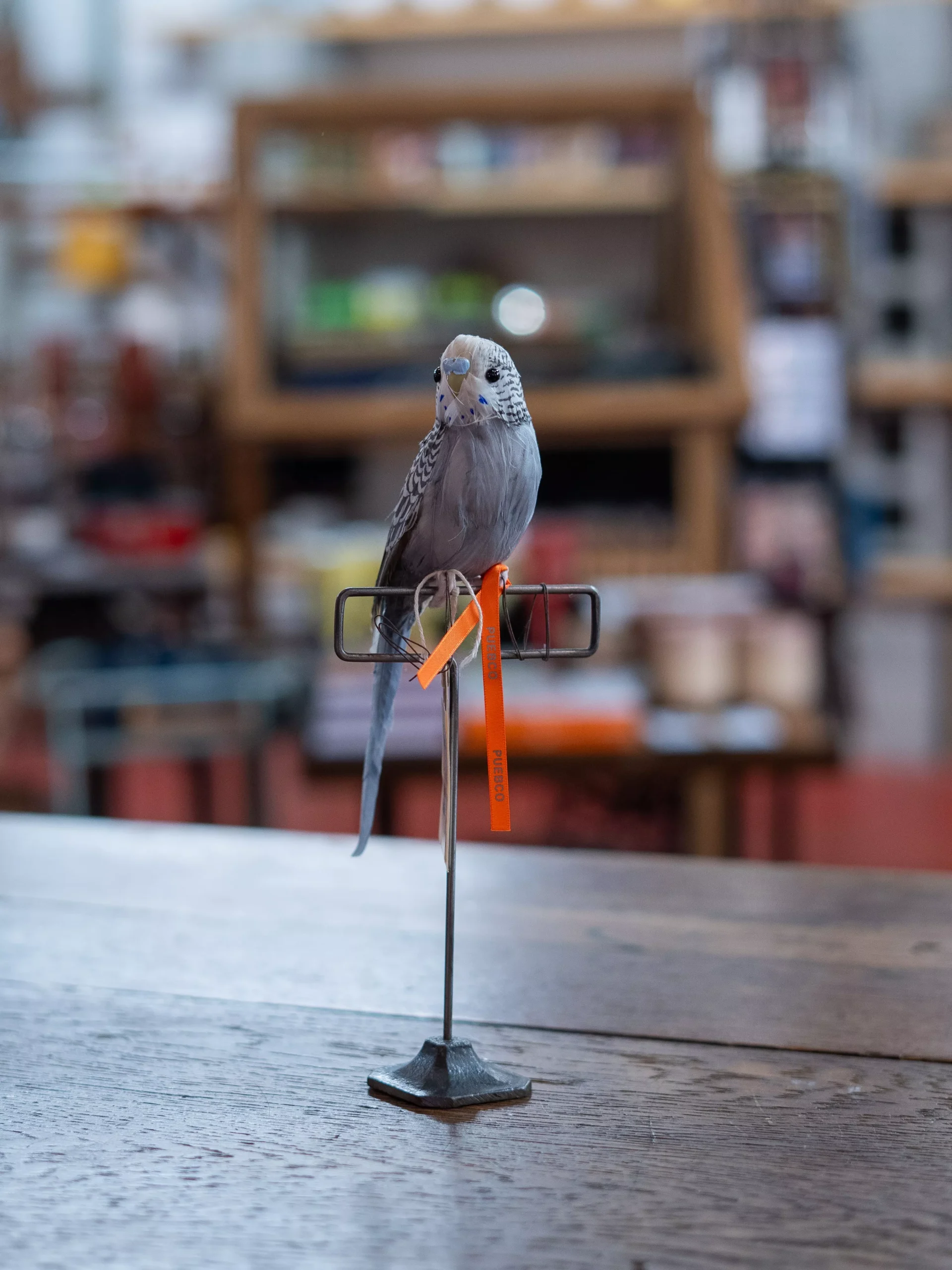 Artificial Birds: Gray Budgie