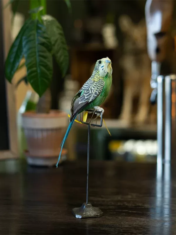 Artificial Birds: Green Budgie