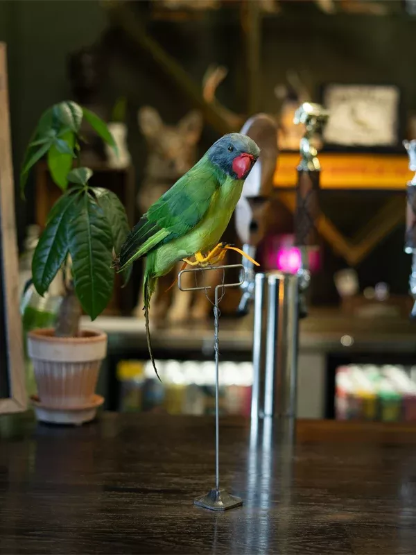 Artificial Birds: Green Parrot
