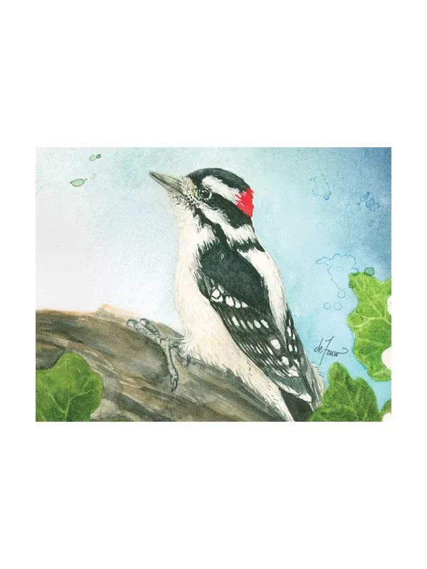 The Backyard Birds Assorted Notecards