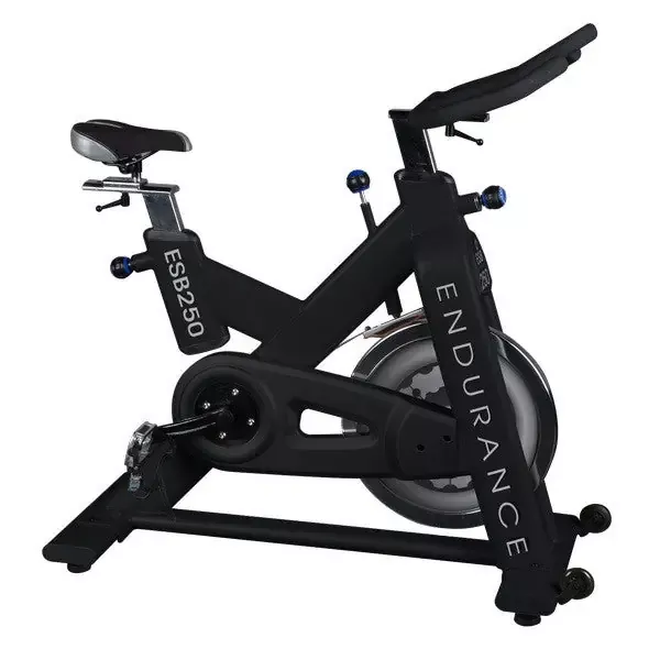 Body-Solid ESB250 Endurance Exercise Bike