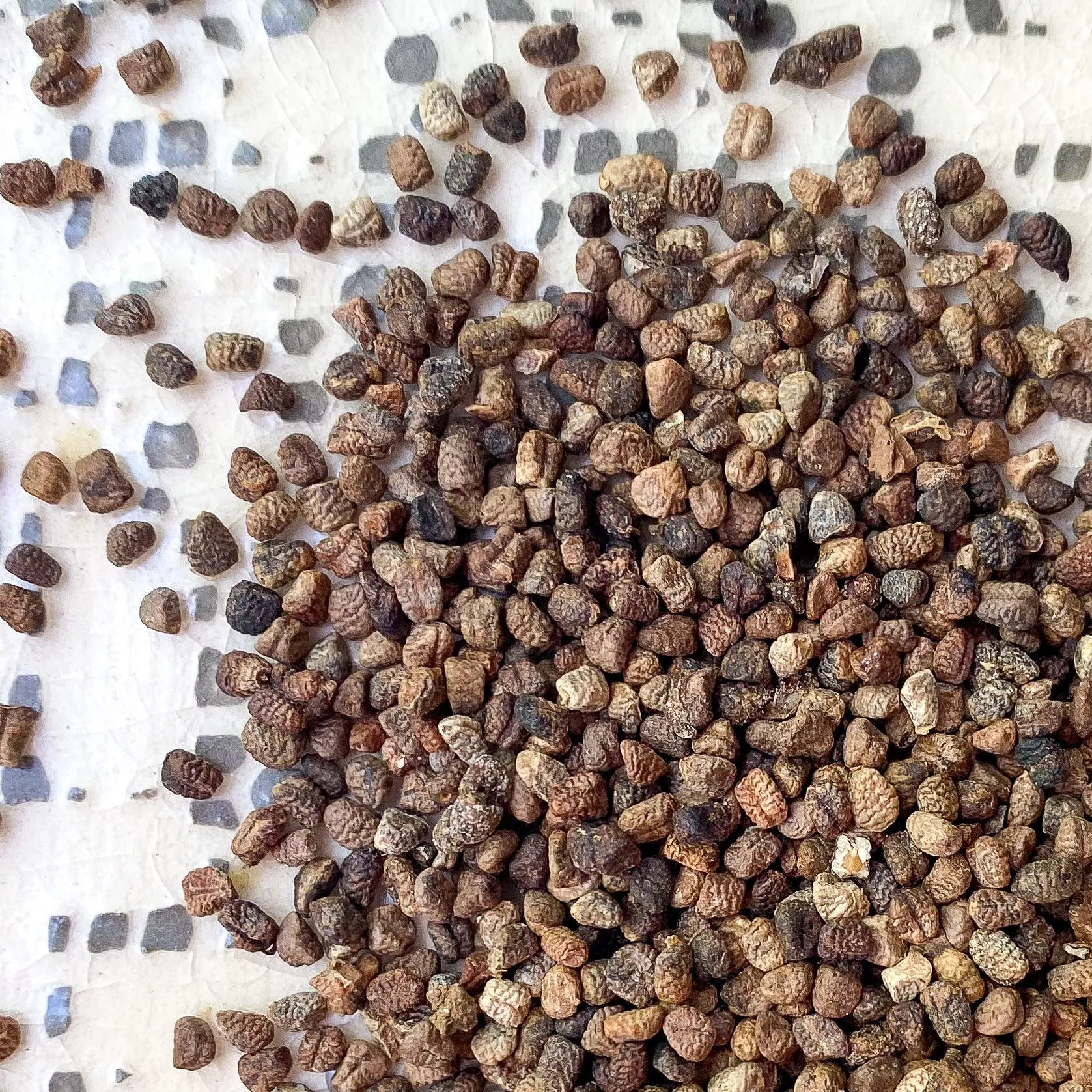 Cardamom Seeds