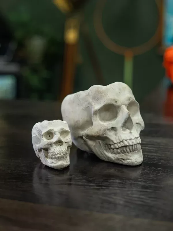Concrete Skull: Large