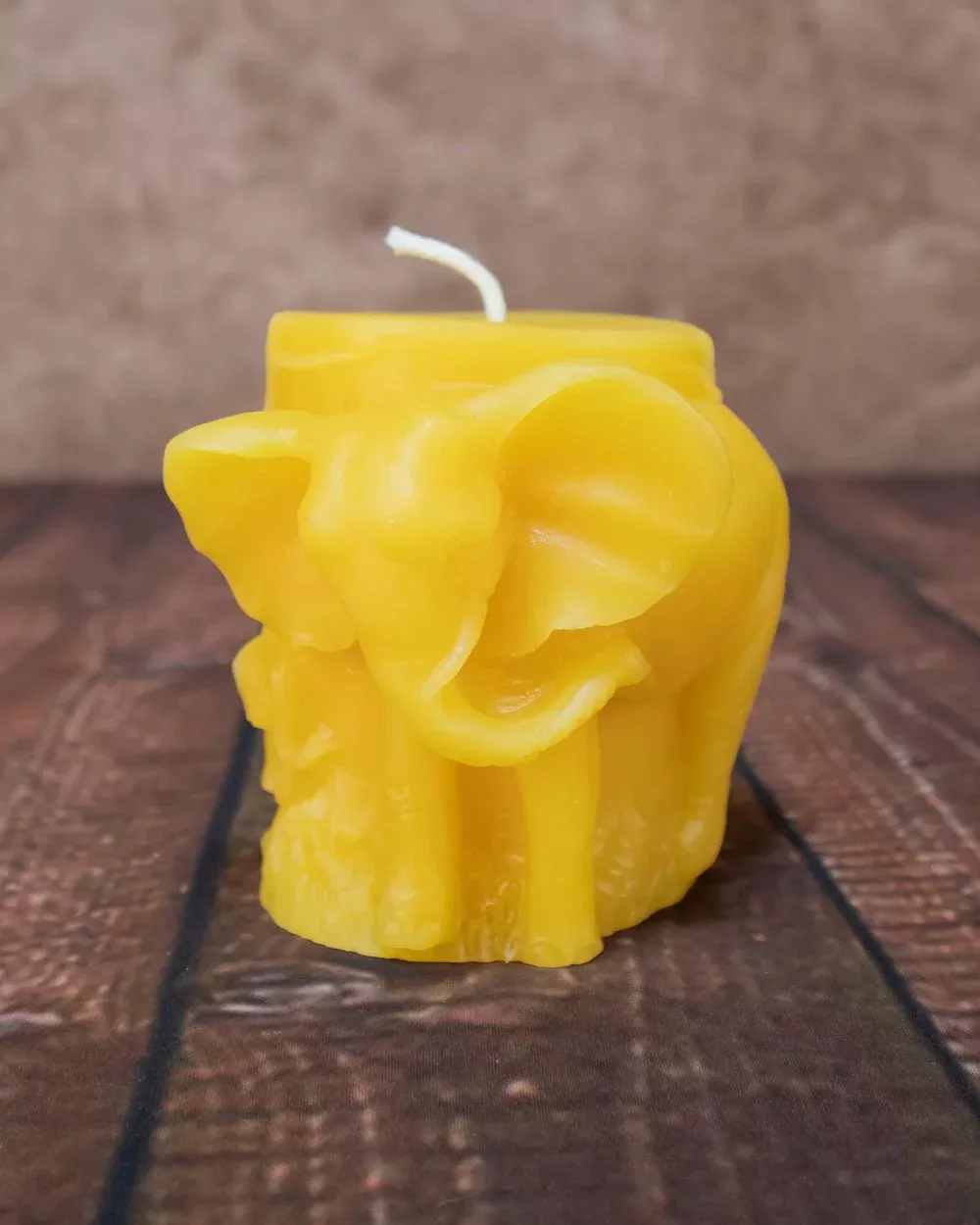 Elephant Pillar