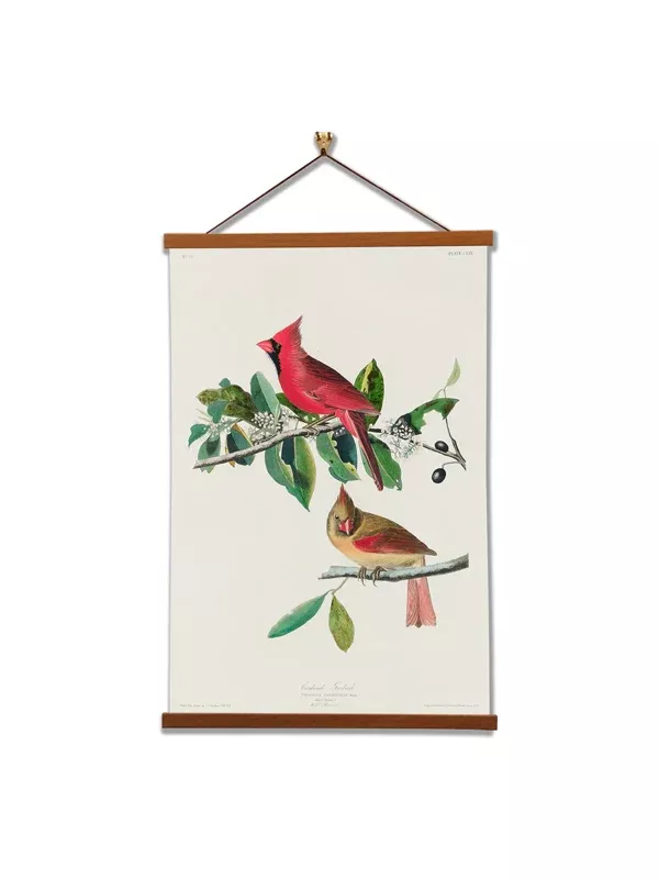 Framed Wall Art: Cardinal Grosbeak- John James Audubon