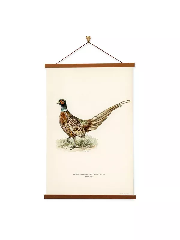 Framed Wall Art: Ring-Necked Pheasant - The Von Wright Brothers
