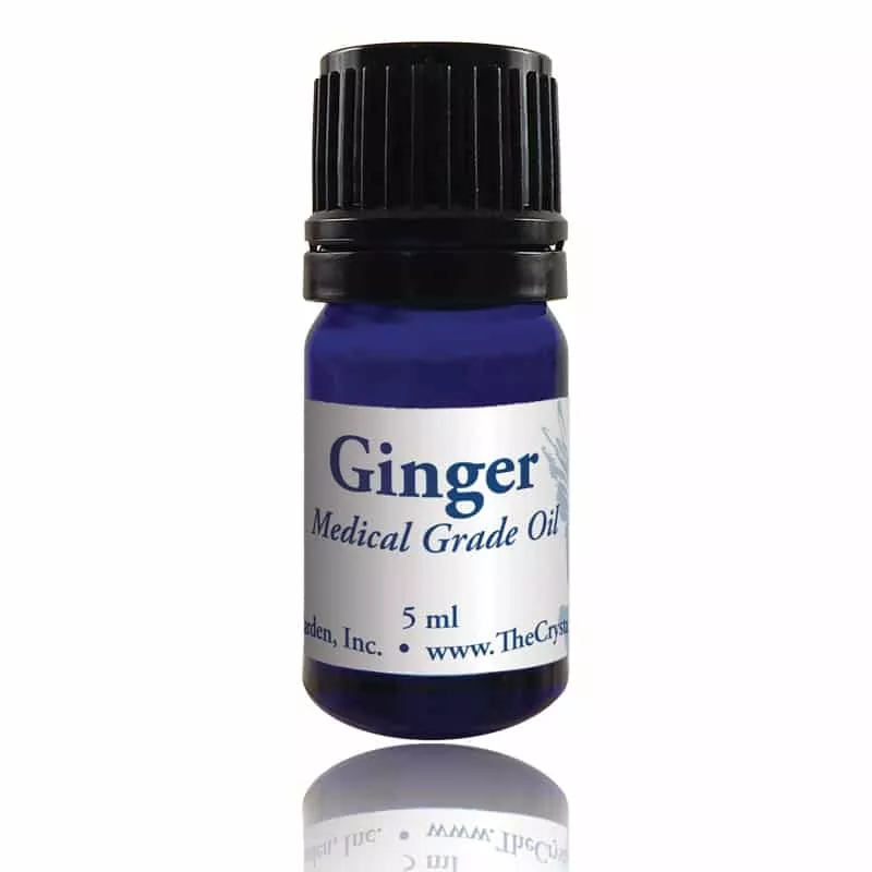 Ginger Essential Oil