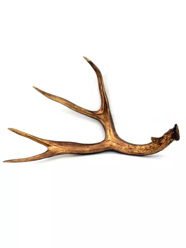 Gold Resin Elk Horn