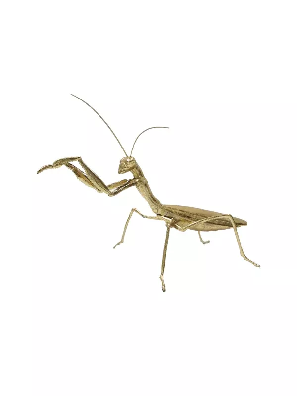 Golden Praying Mantis