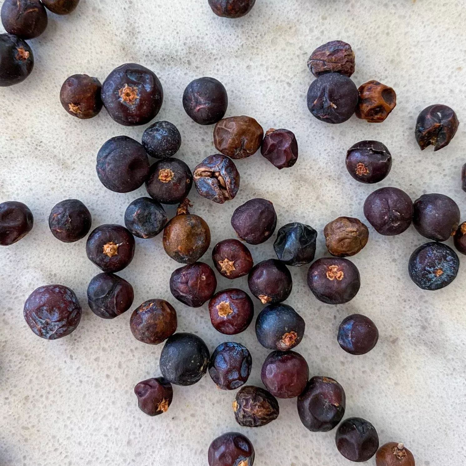 Juniper Berries