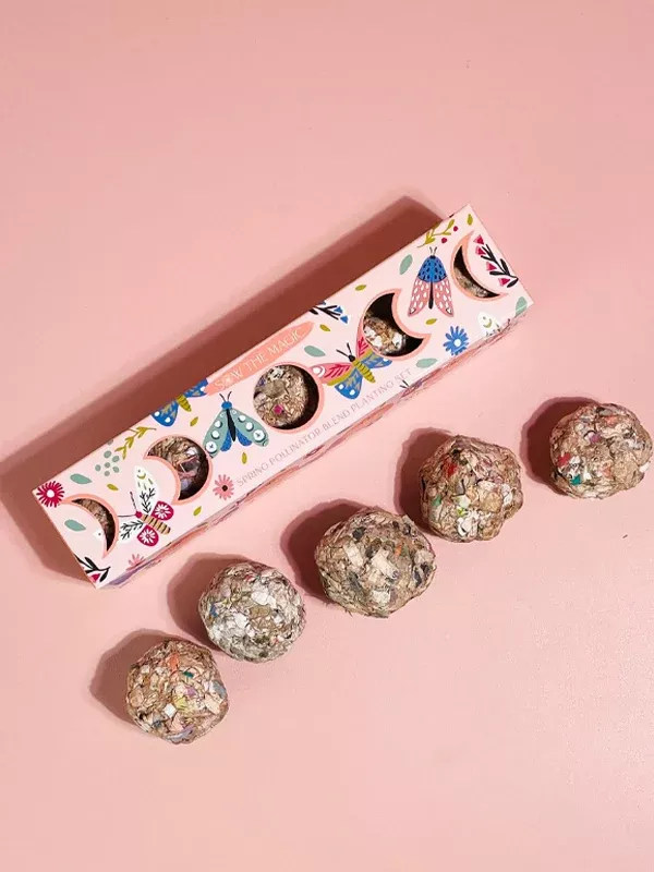 Moon Phase Wildflower Planting Set