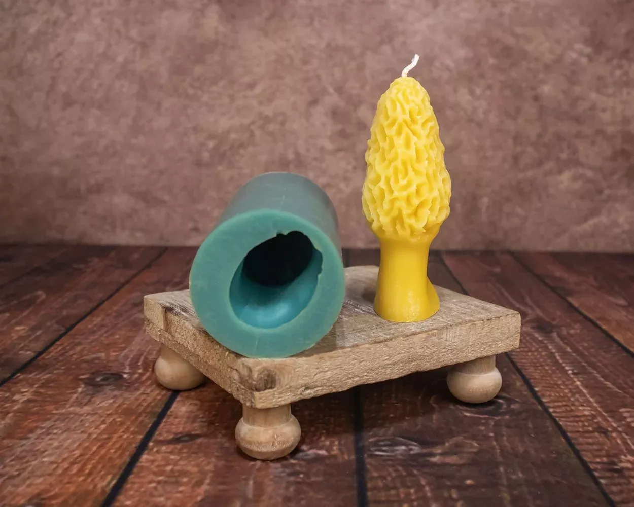 Morel Mushroom Mold