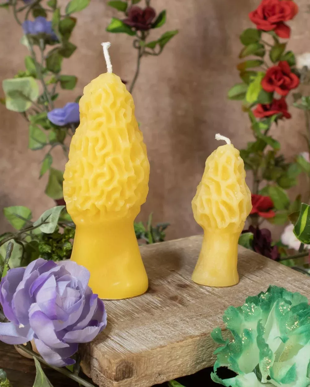Morel Mushroom