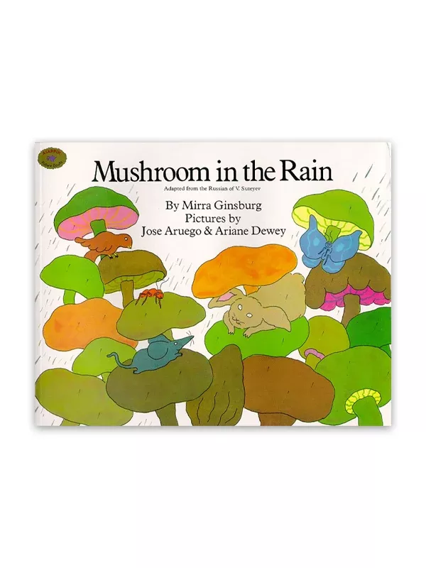 Mushroom in the Rain