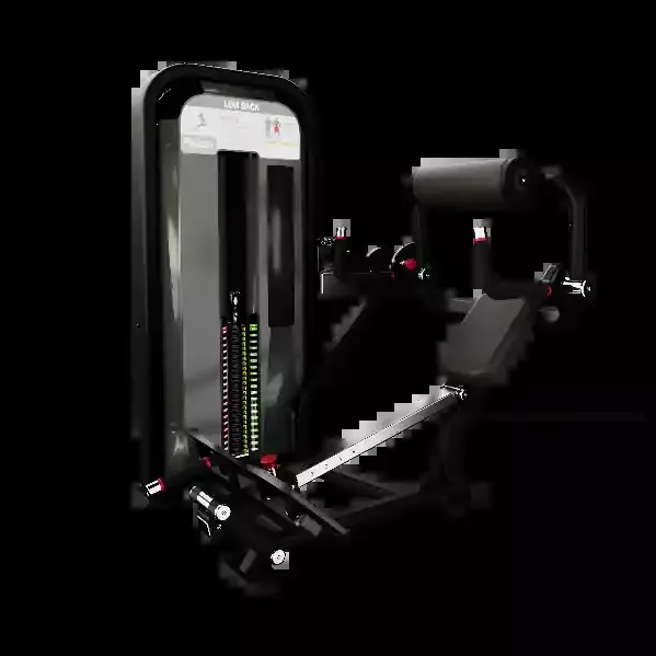 Nautilus Impact Low Back Machine