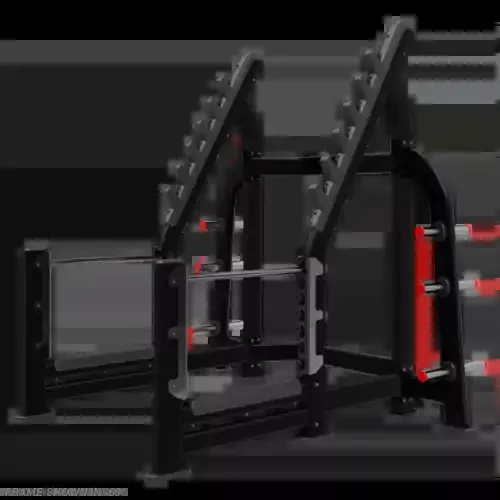 Nautilus Olympic Squat Rack