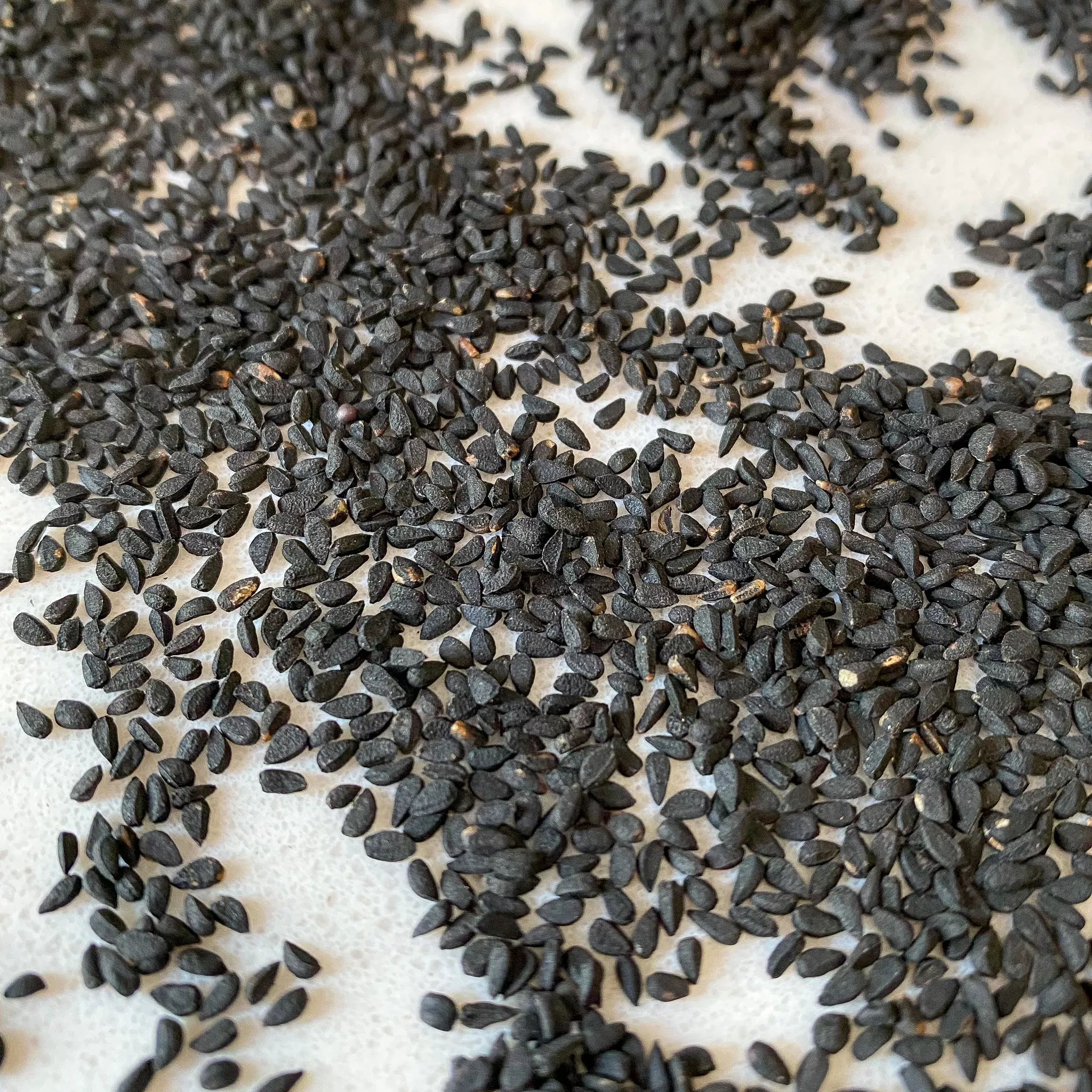 Nigella Seeds