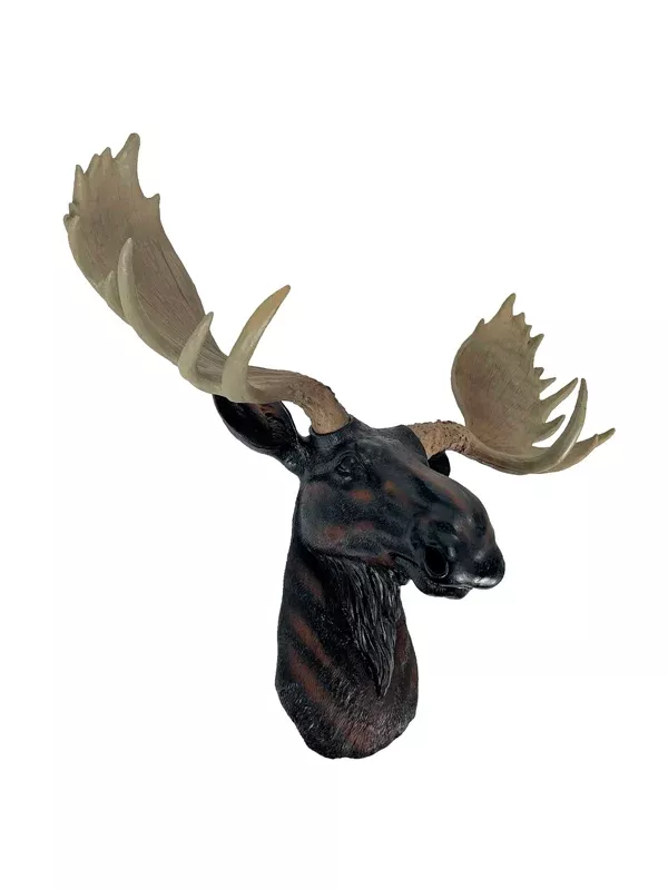 North American Moose Head Wall Mount