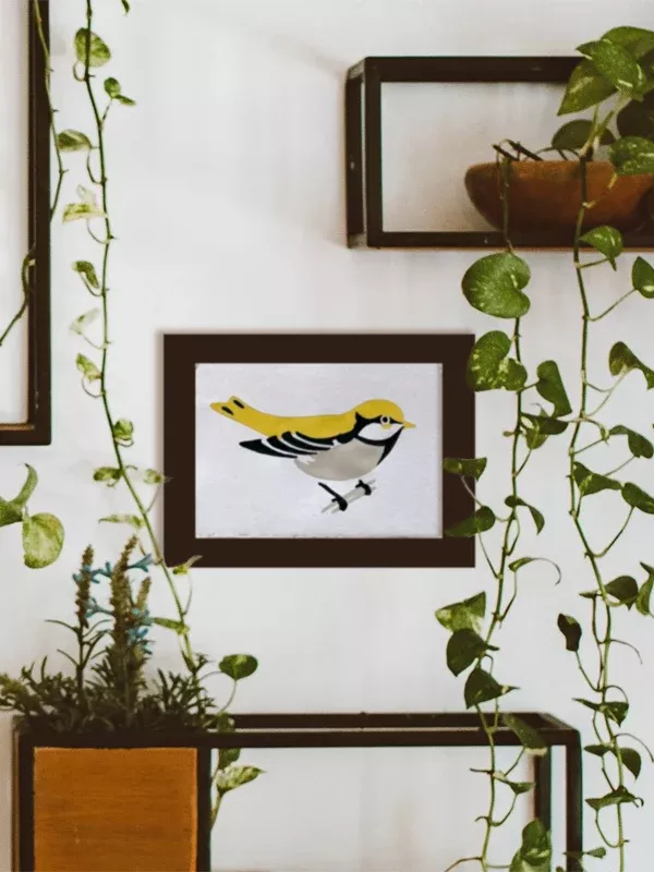 Paint By Numbers Kit: Goldfinch