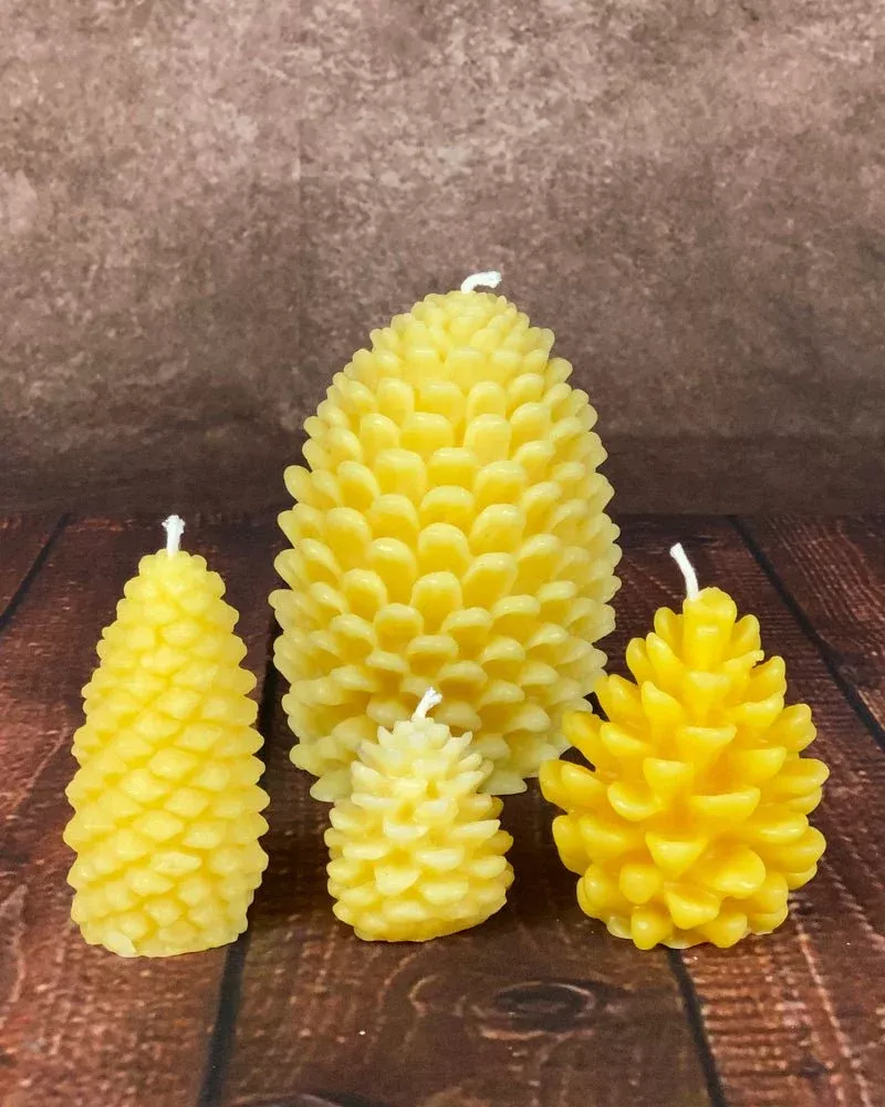 Pine Cones