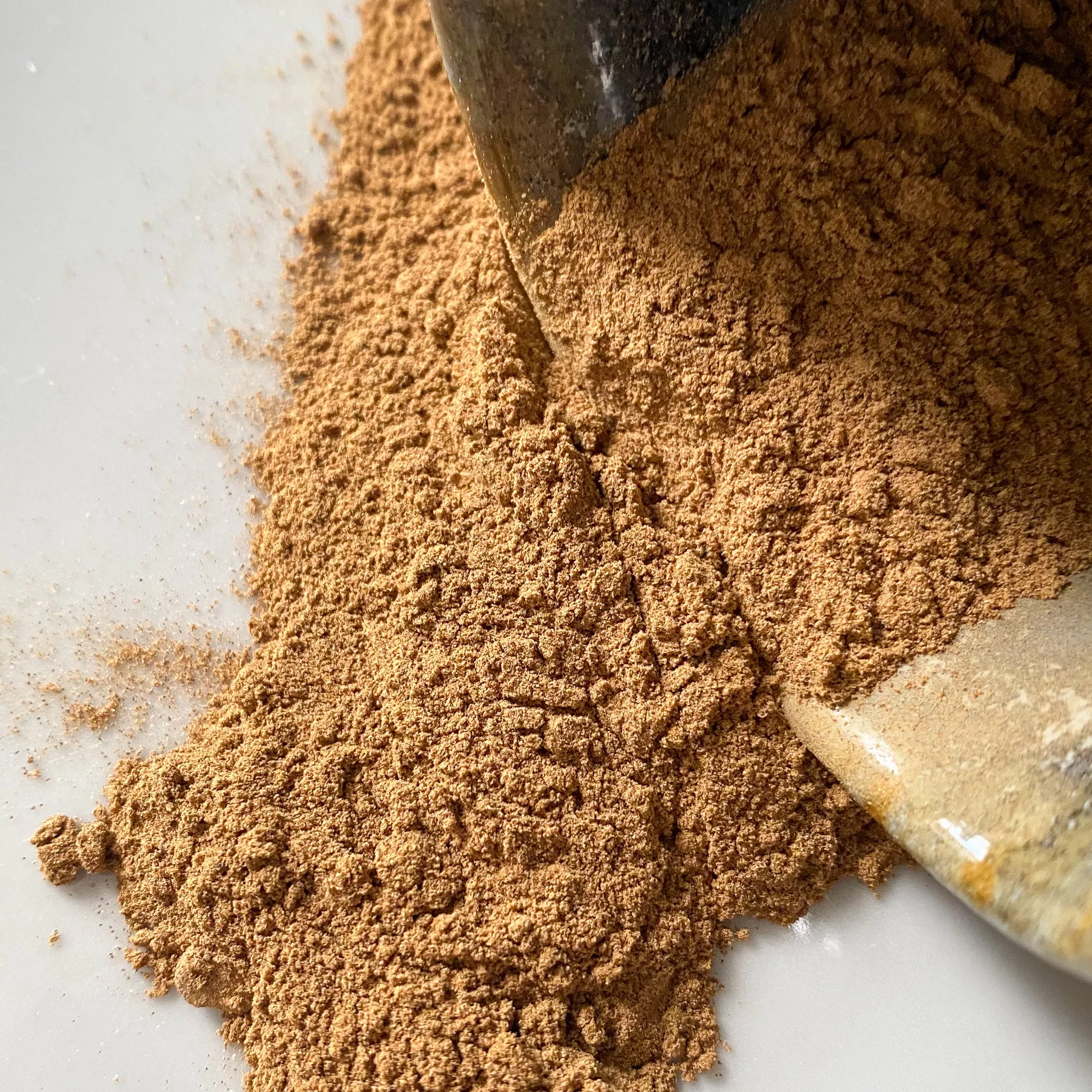 Porcini Powder
