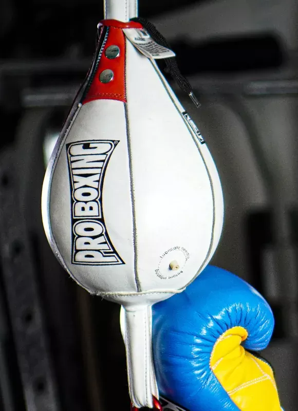 ProBoxing Double End Teardrop Bag