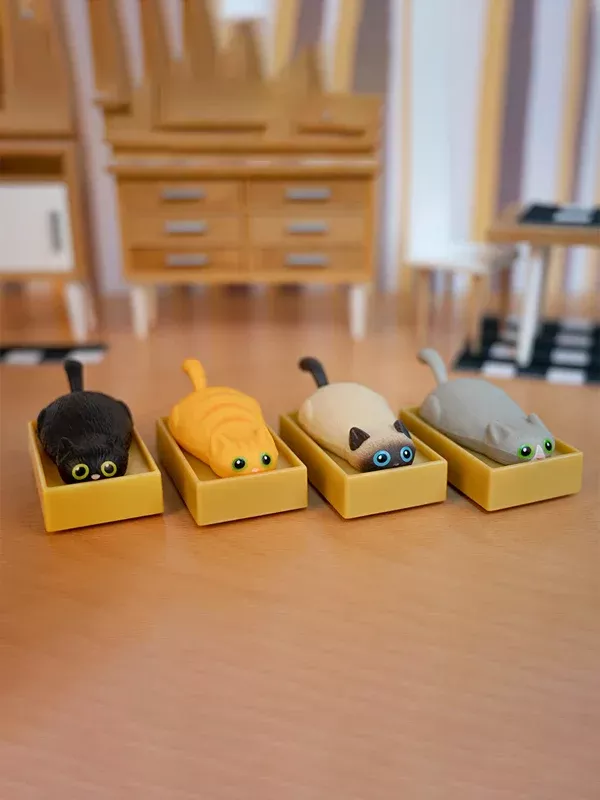 Racing Cat In A Box: Assorted