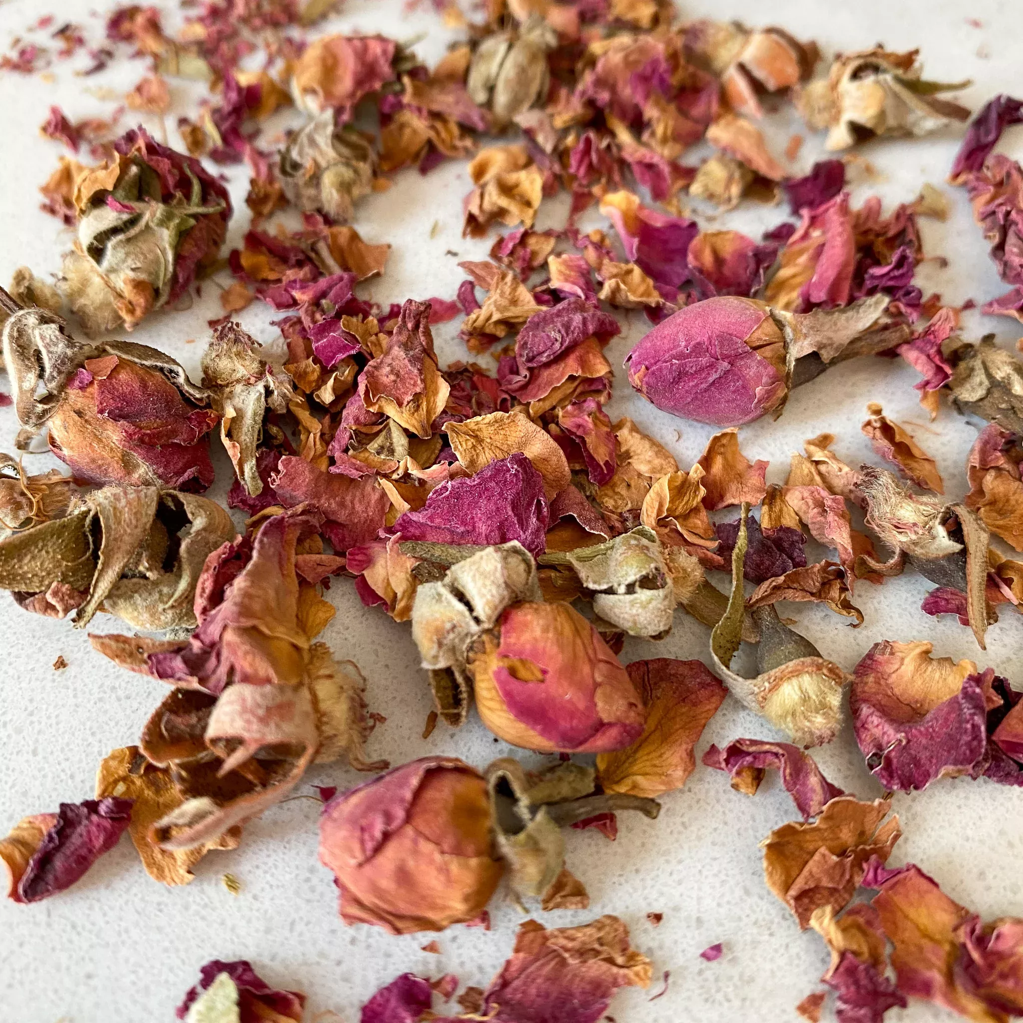 Rosebuds & Petals