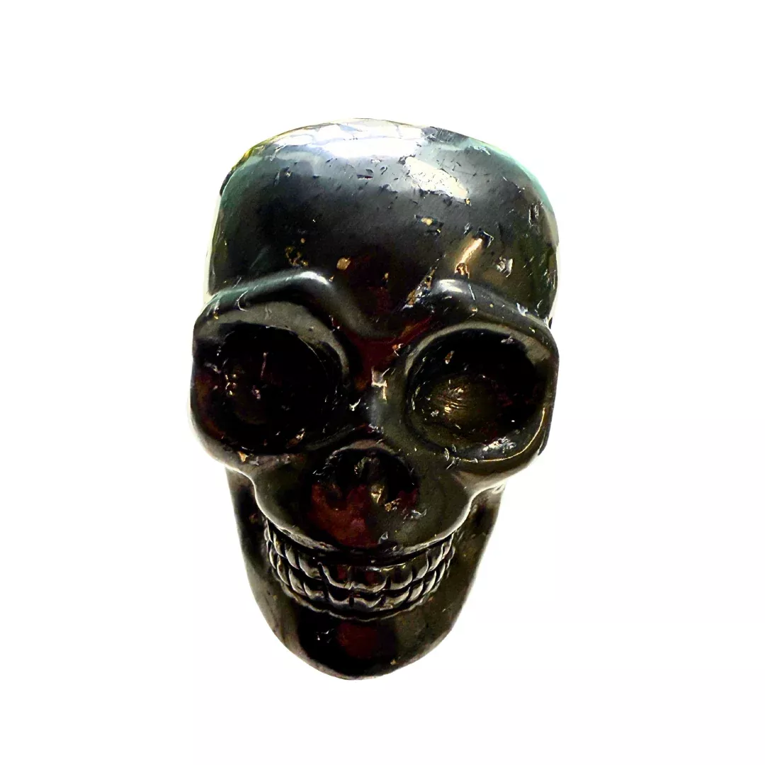 Shungite Skull
