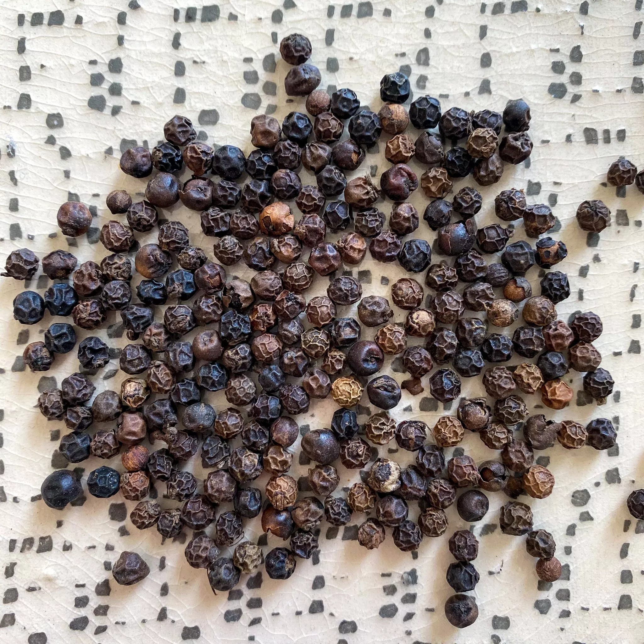Tellicherry Peppercorns