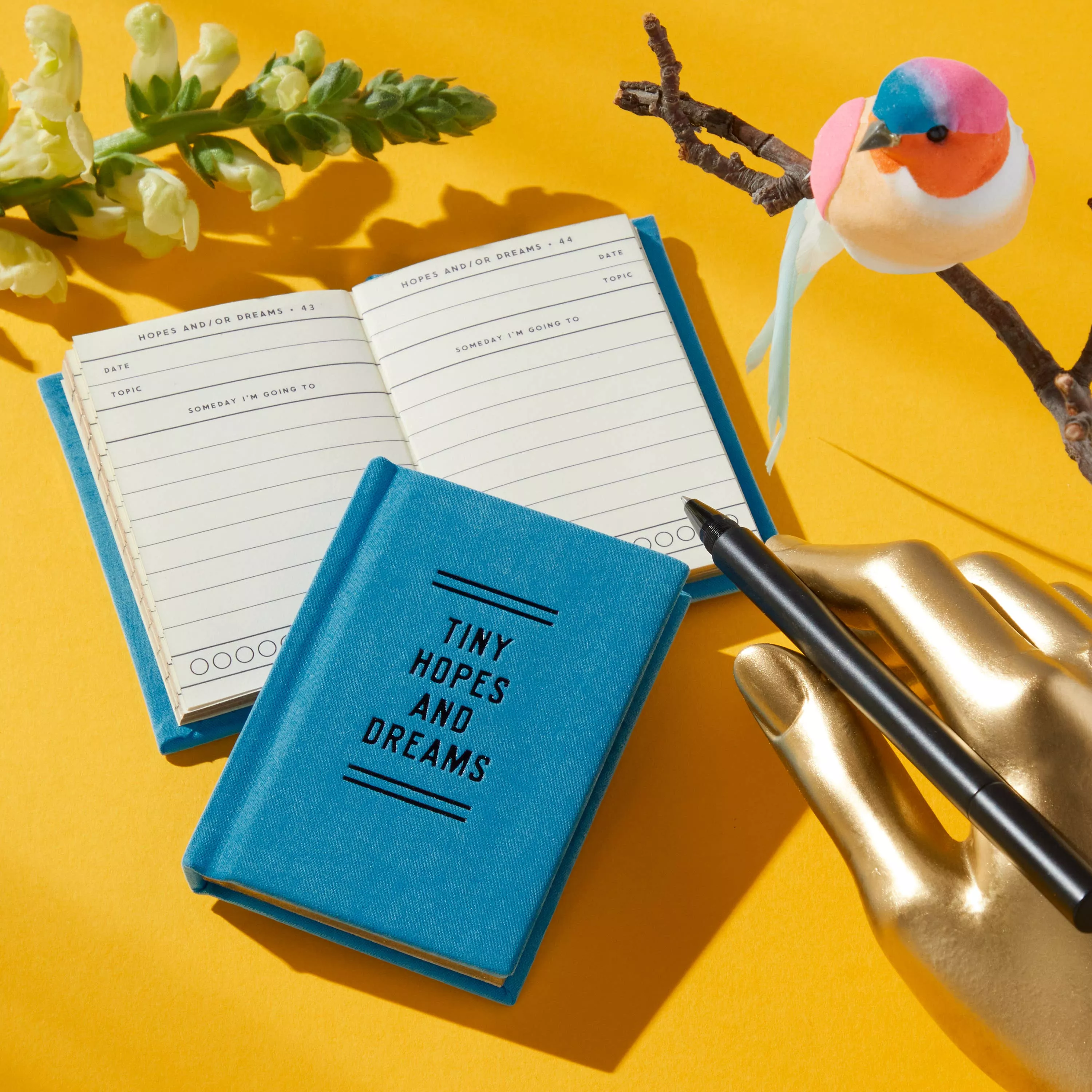 Tiny Hopes And Dreams Diary
