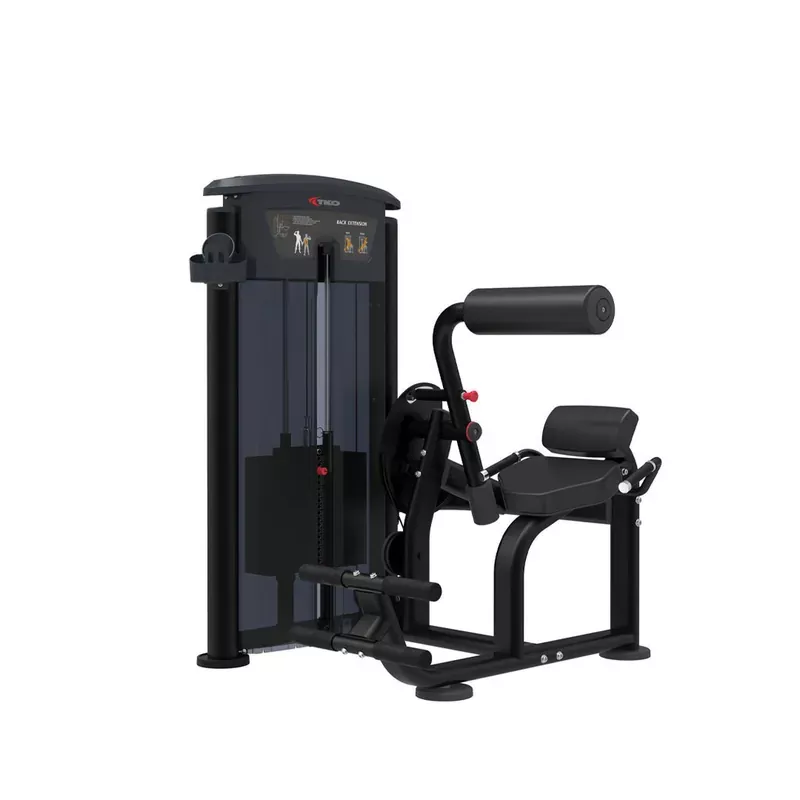 TKO Strength Back Extension