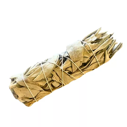 White Sage Bundle Small
